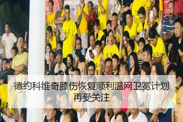 德约科维奇膝伤恢复顺利温网卫冕计划再受关注